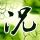 赛力斯1月份至4月份新能源汽车销量111632辆 同比增长29.74%